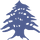 cedarwebdesignsstaging.pages.dev favicon